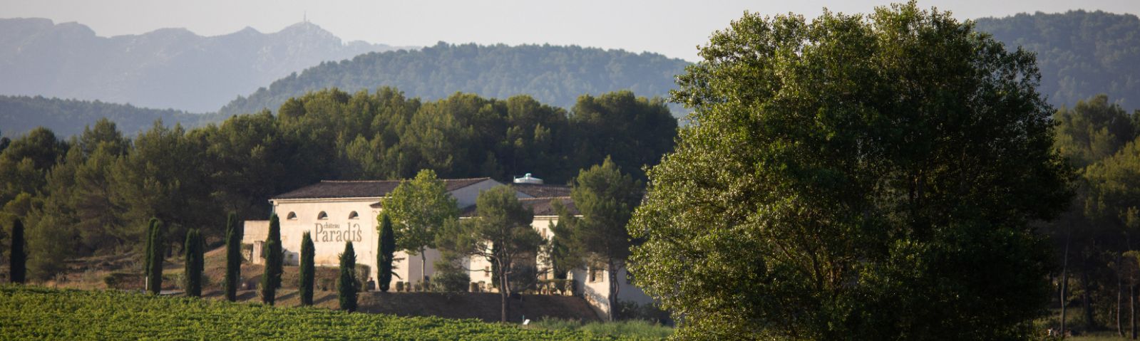 Vue sur le Domaine de Château Paradis